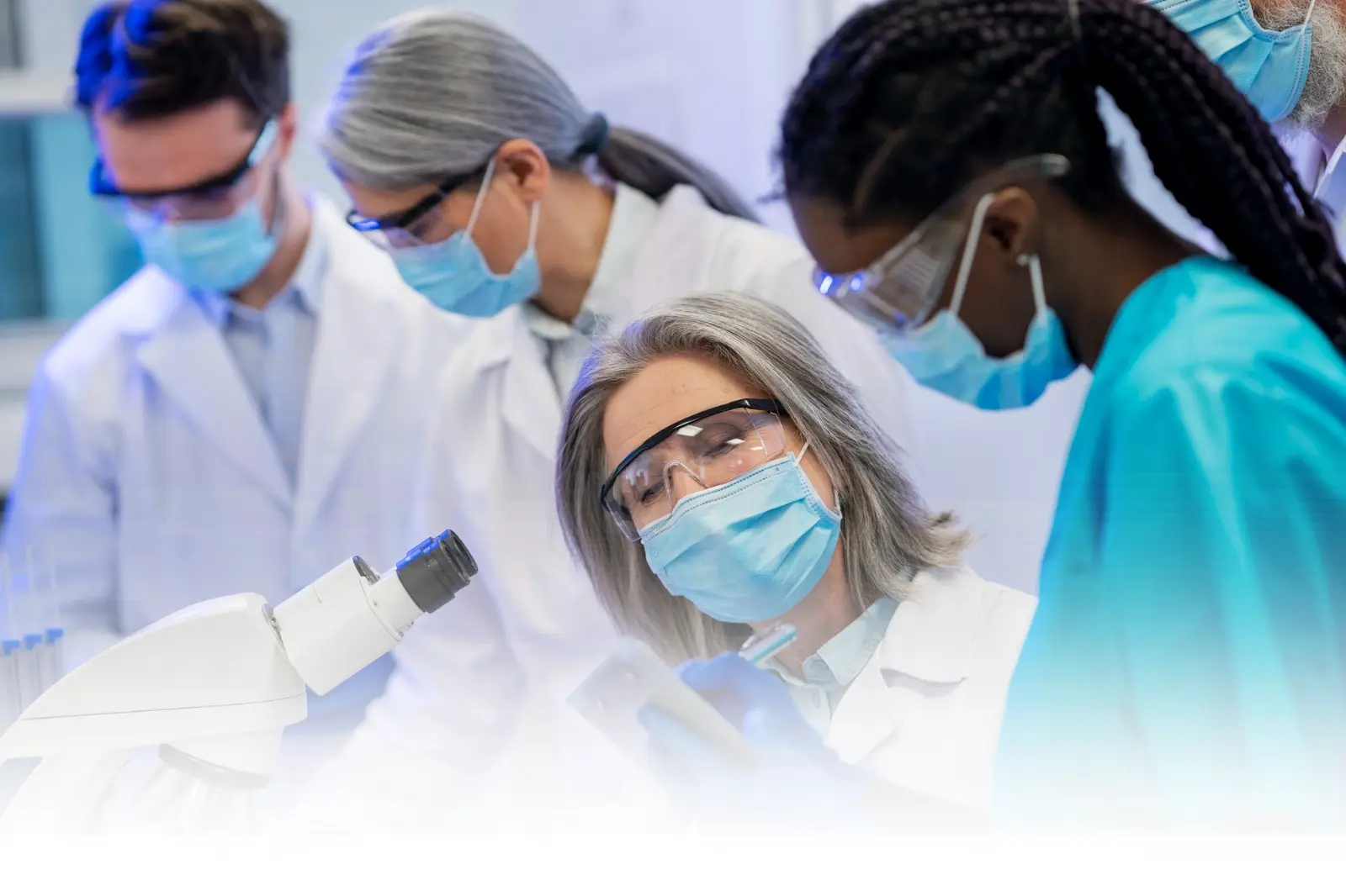 Biomedicos - Merisio